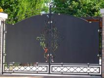 Wrought Iron Swing Gate Door